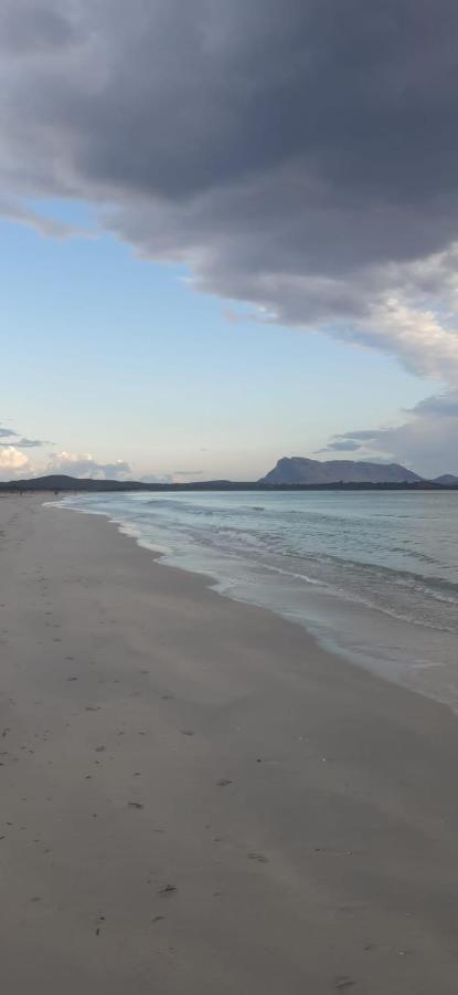 B&B Florian ซาน เตโอโดโร ภายนอก รูปภาพ