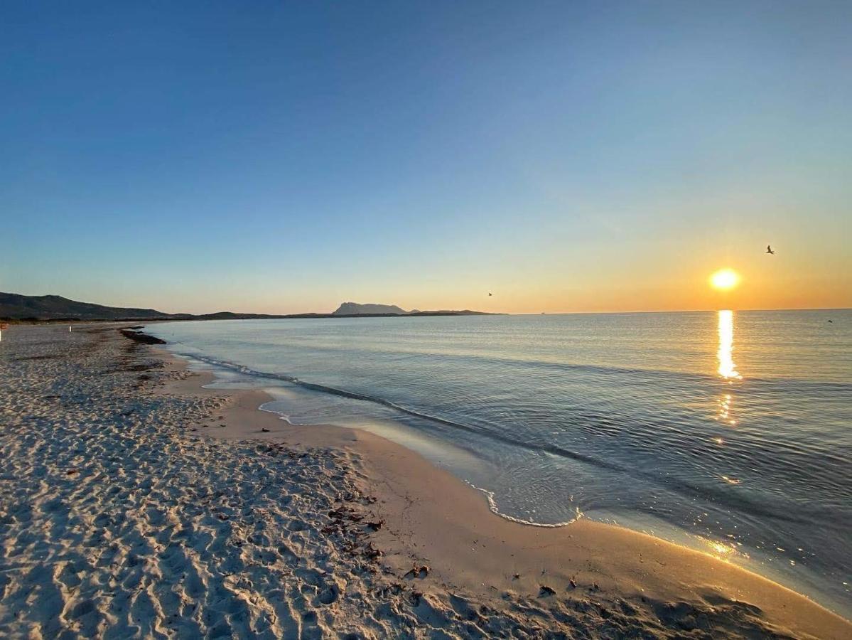 B&B Florian ซาน เตโอโดโร ภายนอก รูปภาพ